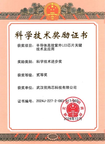 湖北省科学技术进步二等奖